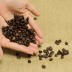 コーヒー豆の保管と鮮度