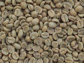 コーラルマウンテン　コーヒー豆