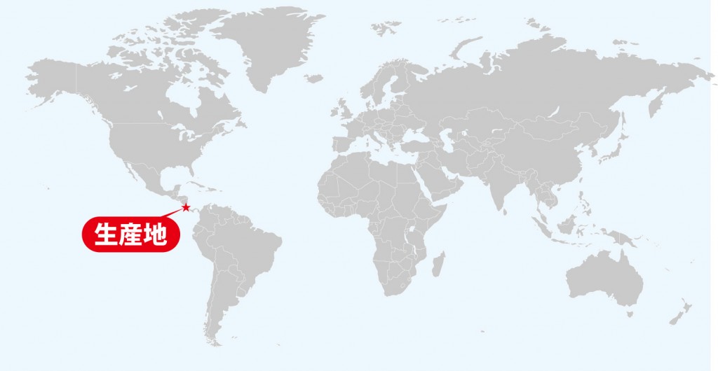 コスタリカ　コーラルマウンテン