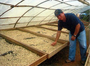 ペルー有機栽培コーヒー