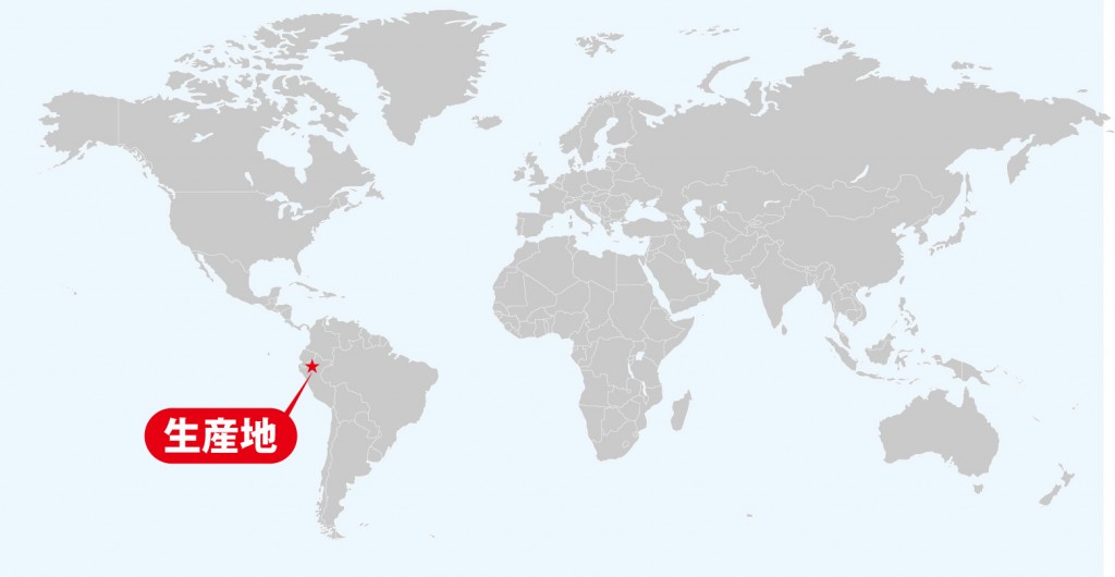 イーグルコーヒー　自家焙煎 ペルー有機栽培コーヒー