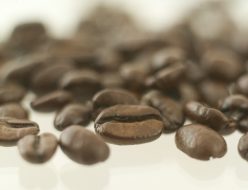 コーヒー豆